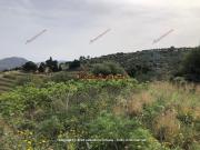 Terreno in vendita di 4500 m² in Via della Liquirizia