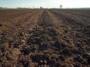 Terreno in vendita di 45029 m² in Contrada Piano