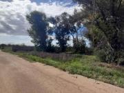 Terreno in vendita di 4510 m² in Via Vicinale Paduli
