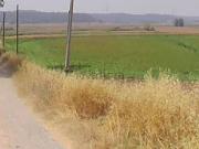 Terreno in vendita di 4570 m² in Viale Italia, 15