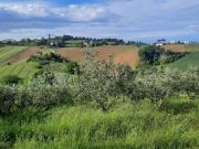 Terreno in vendita di 46000 m²