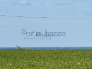 Terreno in vendita di 4606 m² in Contrada Canali