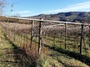 Terreno in vendita di 46268 m² in Via Mezzomonte