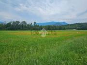 Terreno in vendita di 4627 m² in Via Colombaro