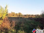 Terreno in vendita di 47000 m² in Strada Consortile