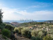 Terreno in vendita di 4700 m² in Frazione Artallo