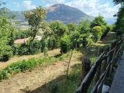 Terreno in vendita di 4700 m² in Via Altimari