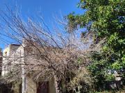 Terreno in vendita di 4702 m² in Piazza Stazione