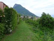 Terreno in vendita di 4778 m² in Via Andrea del Sarto