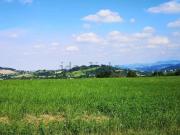 Terreno in vendita di 4800 m²