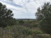 Terreno in vendita di 4959 m² in Contrada Fontanelle