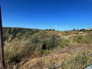 Terreno in vendita di 4 ettari