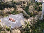 Terreno in vendita di 50000 m² in Via Antonio Beccadelli