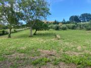 Terreno in vendita di 5000 m²
