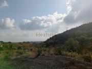 Terreno in vendita di 5000 m²