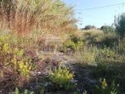 Terreno in vendita di 5000 m² in Contrada Apostolello