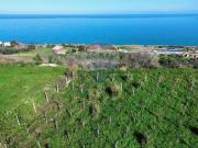 Terreno in vendita di 5000 m² in Contrada Lentesco