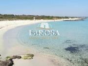 Terreno in vendita di 5000 m² in Contrada Padolicchie, 37