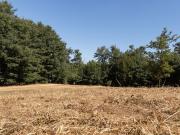 Terreno in vendita di 5000 m² in Strada Campogrande