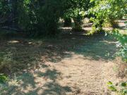 Terreno in vendita di 5000 m² in Via Ischia