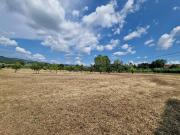 Terreno in vendita di 5000 m² in Via Martiri del Padule, 361