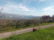 Terreno in vendita di 5000 m²
