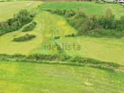 Terreno in vendita di 5000 m² in Via San Procolo