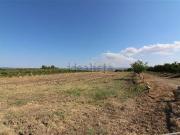 Terreno in vendita di 50032 m²