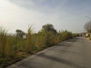 Terreno in vendita di 500 m² in Via del Mediterraneo, 354