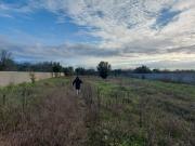 Terreno in vendita di 5010 m²