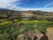 Terreno in vendita di 50300 m² in Via San Martino