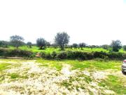 Terreno in vendita di 50771 m² in Località canturi