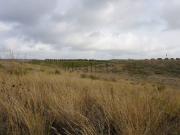 Terreno in vendita di 50800 m²