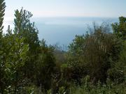 Terreno in vendita di 50 m²