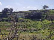 Terreno in vendita di 517 m²