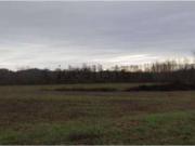 Terreno in vendita di 51 m² in Via Del Castello