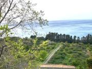 Terreno in vendita di 52000 m² in Contrada Zappardino