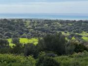 Terreno in vendita di 52832 m² in Strada Senza Nome