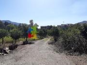 Terreno in vendita di 5300 m² in Contrada contura