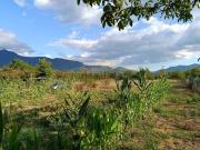 Terreno in vendita di 5300 m² in Viale Antonio Gramsci