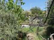Terreno in vendita di 5330 m² in Via Domenico Nicolosi