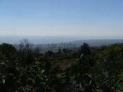 Terreno in vendita di 5330 m² in Via Scorciavacca Montarsi