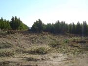Terreno in vendita di 53376 m² in Strada Provinciale 46