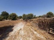 Terreno in vendita di 536 m² in Strada di S.Catrini