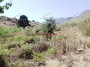 Terreno in vendita di 5370 m² in Contrada Sant&apos Onofrio