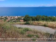 Terreno in vendita di 5431 m²