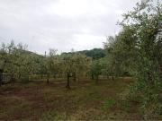 Terreno in vendita di 5500 m² in Via sirignano