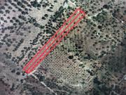 Terreno in vendita di 5549 m² in Contrada Zingarello