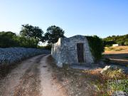 Terreno in vendita di 5550 m² in Contrada Restano