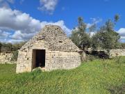 Terreno in vendita di 5589 m² in Contrada Grofoleo, 24